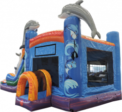 5N120Dolphin20Combo20MC20DL20Front20Left203120Jul202019 1 1 Dolphin Bounce House
